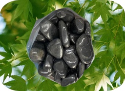 [FURN_6741] Large Meeting Table